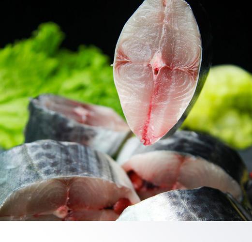 大鲅鱼海鱼马鲛鱼活体捕杀新鲜水产海鲜生鲜鲜活冷冻食品鱼肉 精品