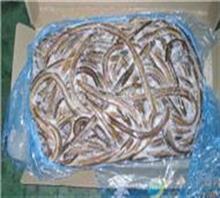 【冷冻海鳗】价格,厂家,图片,水产,上海福丰食品商贸有限公司销售部